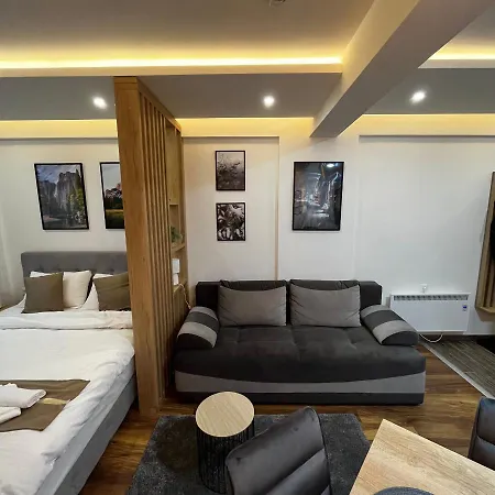 アパート President Kop - Silver Ice *