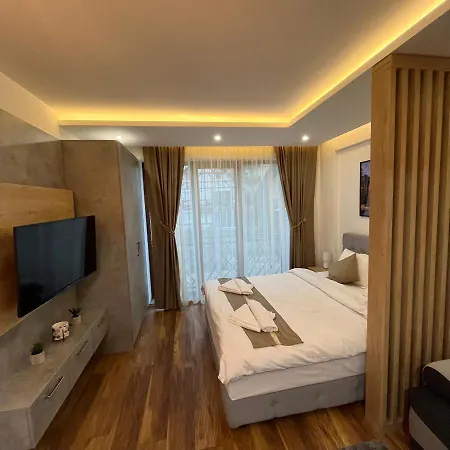 アパート President Kop - Silver Ice コパオニク