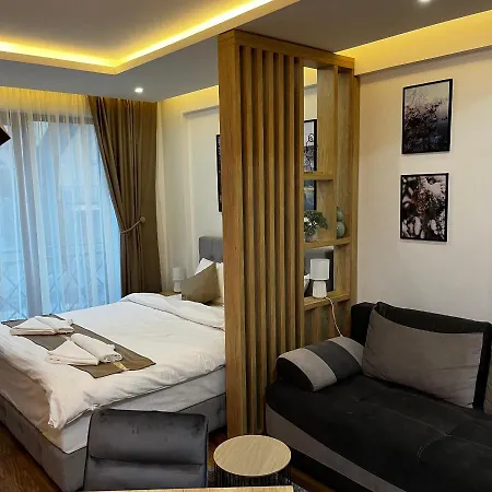 アパート President Kop - Silver Ice コパオニク