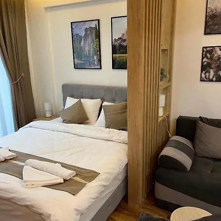 President Kop - Silver Ice コパオニク