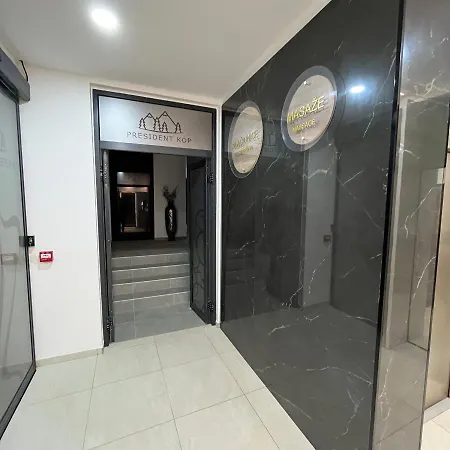 President Kop - Silver Ice コパオニク