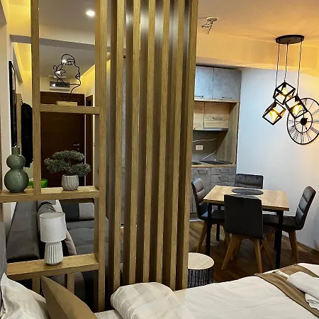 アパート President Kop - Silver Ice コパオニク