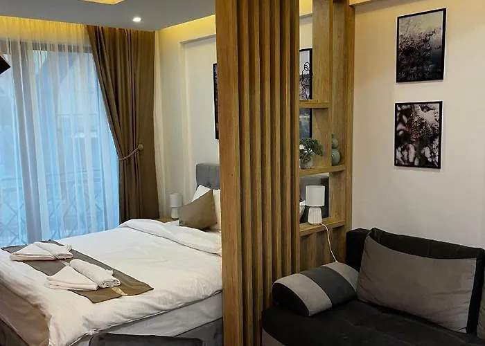 Apartment President Kop - Silver Ice Kopaonik